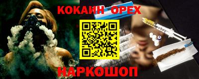 шишки Можга