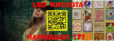 шишки Можга