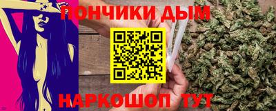 шишки Можга