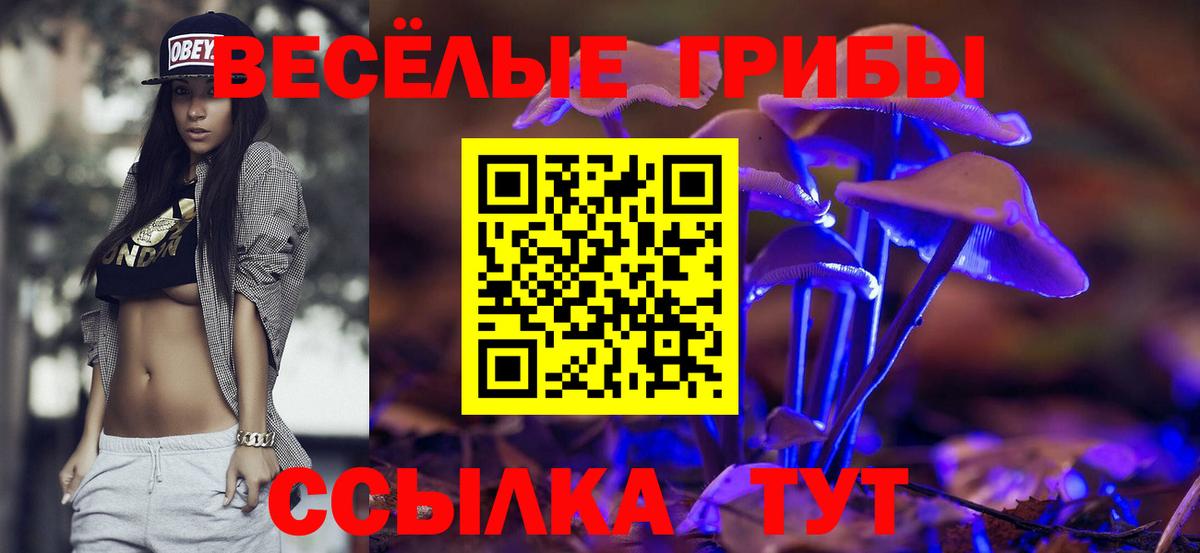 Псилоцибиновые грибы Psilocybe Улан-Удэ