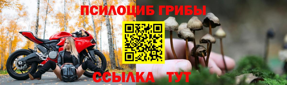 цены наркотик  Вход с VPN  Улан-Удэ  Псилоцибиновые грибы GOLDEN TEACHER 